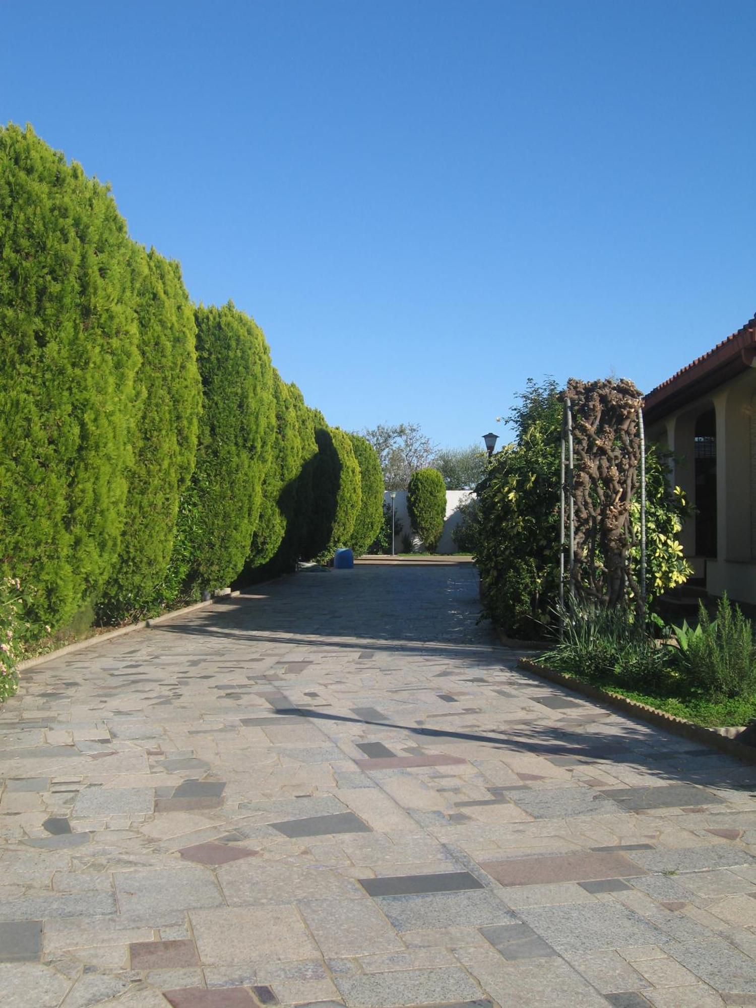 Villa Primavera 빌라 산 피에트로 외부 사진
